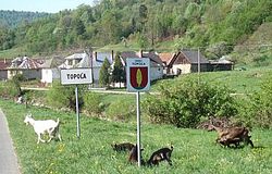 napriecslovenskomvz01.jpg