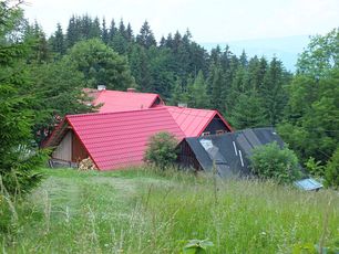 potulkykorna04-2015m.jpg