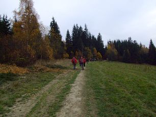 hornaorava2015mm.jpg