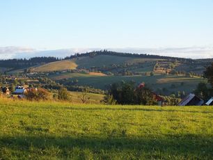 polana2015m.jpg