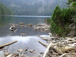 sumava0103.jpg
