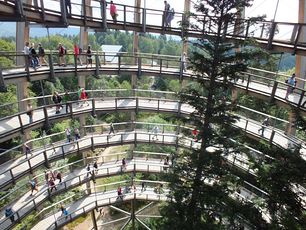 sumava0303.jpg