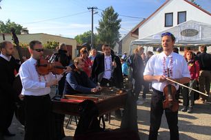 vinohrady2015m.jpg