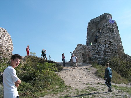 Sample Image