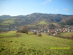 brazda201002m.jpg