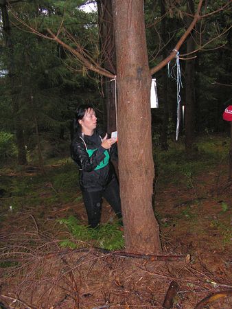 ptz3201001.jpg