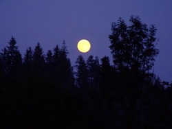 nocnyturvrch2011m.jpg