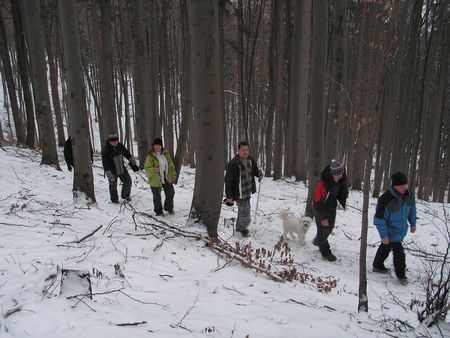 vreteno201001.jpg