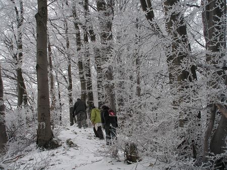 vreteno201001.jpg