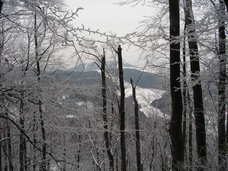 vreteno201001.jpg