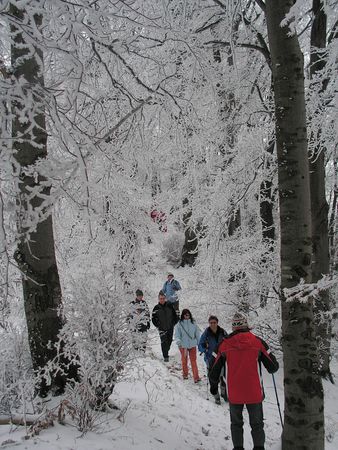 vreteno201001.jpg