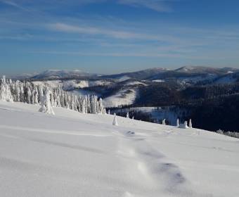 foto-pavelek10_original