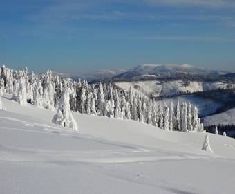 foto-pavelek11_original
