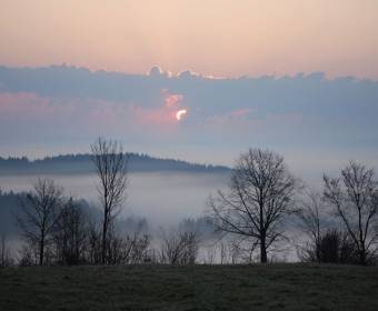 olesna_001_original