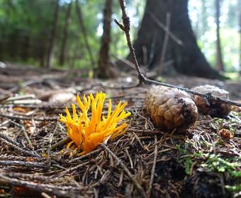 sudopark_klokocov_009_original