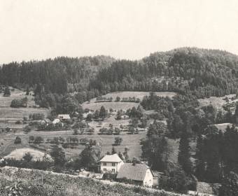 Murašonky od Miša, Srníčkovci