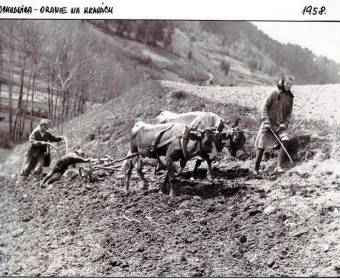 ochodnica-historicke-fotografie-009_original