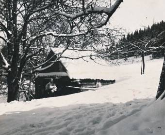 Bohatá nádielka snehu
