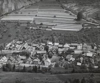 Povina v roku 1975