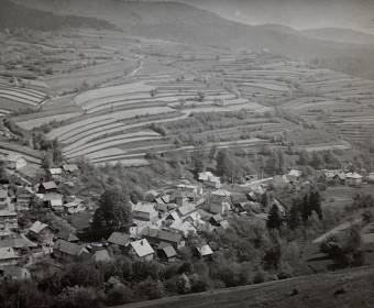 Povina v roku 1975