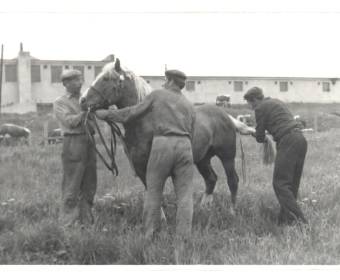 rakova_historicke_fotky_048_original