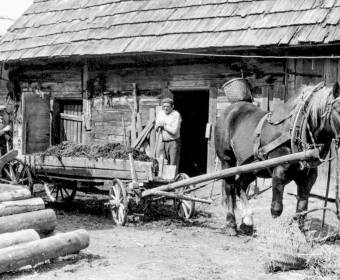 Riečnica, Nakladanie hnoja na voz u Rybov, 1983