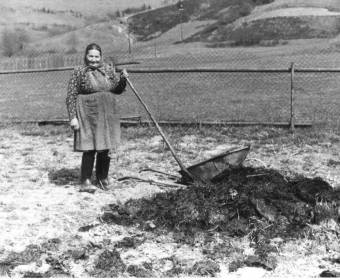 Riečnica, vyvážanie hnoja na roľu, 1983