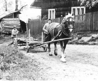 Harvelka - Baničiarovia, doprava brán na pole, 1985
