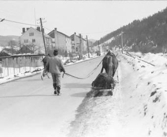 vyvážanie hmoja na saniach Nová Bystrica apríl 1987