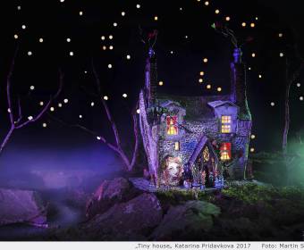7_Tiny_3D_miniatura_original