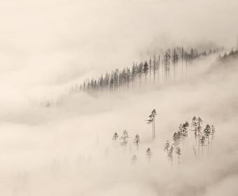 kysuce_fotografie_majakova_020_original