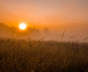 kysuce_fotografie_majakova_026_original