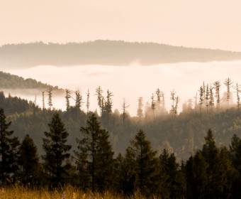 kysuce_fotografie_majakova_028_original