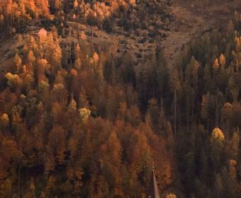kysuce_fotografie_majakova_034_original
