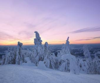 kysuce_fotografie_majakova_039_original
