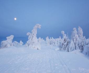 kysuce_fotografie_majakova_040_original