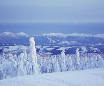 kysuce_fotografie_majakova_042_original