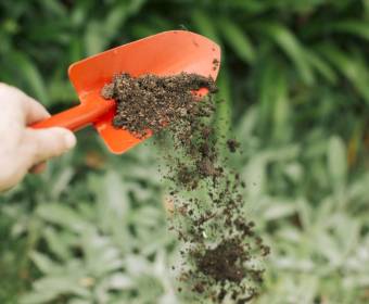 chyby-zahrada-leto-004_original