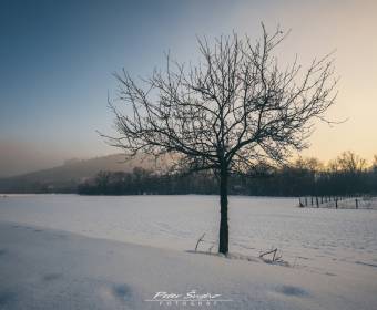 peter_sugho_fotografie_001_original