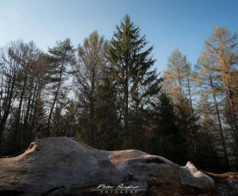 peter_sugho_fotografie_022_original