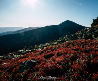 peter_sugho_fotografie_042_original