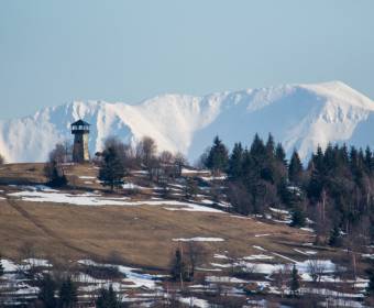 fotografie_kysuce_gajdica_0004_original