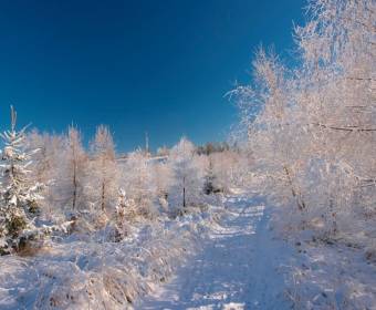 foto-viktor-juriga-002_original
