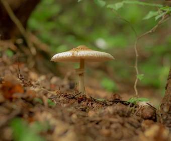 foto-viktor-juriga-026_original