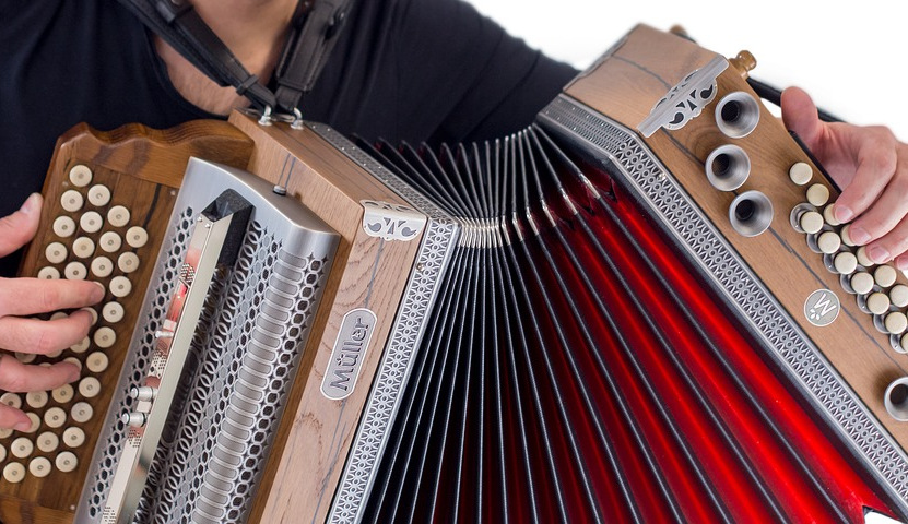 harmonika