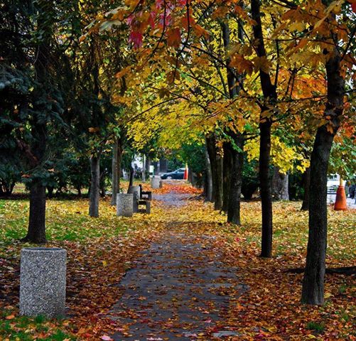 park real