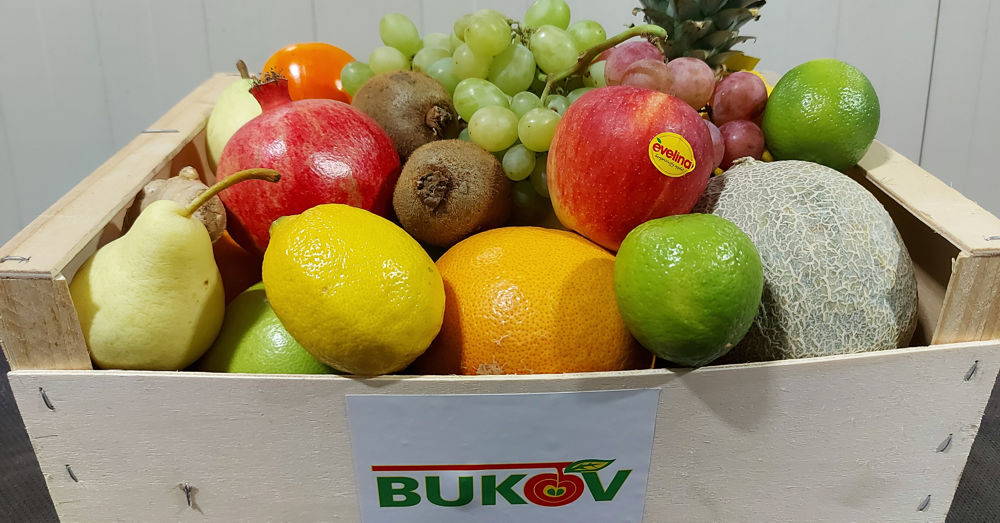 sutaz bukov v