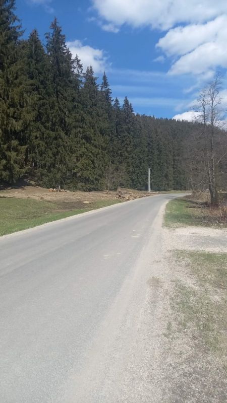 lykozrut kysuce 4