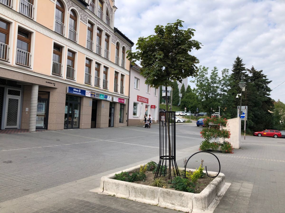 stromy palarikova ulica