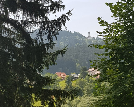 korna vcelin 2